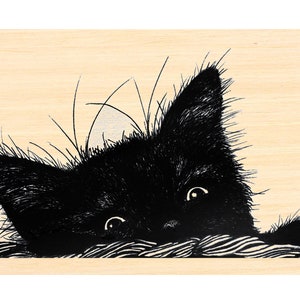 Op de afbeelding: Een zwarte kat met witte ogen kijkt uit achter een houten oppervlak. De vacht van de kat is gedetailleerd en gestileerd getekend.