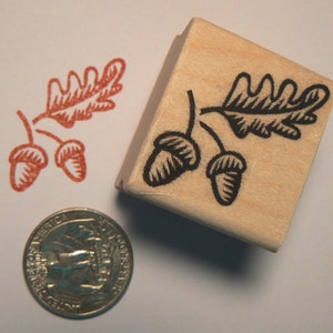 Timbro in gomma con ghianda e foglie in miniatura P24