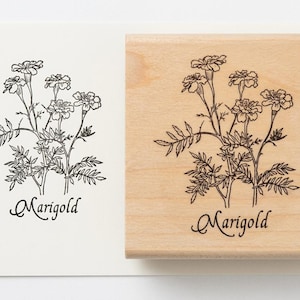 May include: A wooden stamp and its impression on paper. The stamp features a detailed black line drawing of marigold flowers and foliage, with the word "Marigold" in script below. The impression is on a white card.