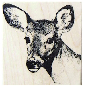 May include: A black and white close-up image of a deer's head. The deer is looking directly at the viewer with its ears perked up.