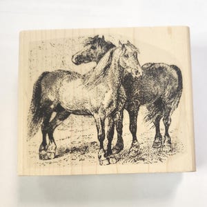 May include: A black and white line drawing of two horses standing side by side. The horses are facing the viewer, and the horse on the left is slightly behind the horse on the right. The horses are drawn in a realistic style, with detailed features such as their manes and tails.