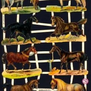 Hermoso papel de relieve troquelado alemán 7263 Caballos