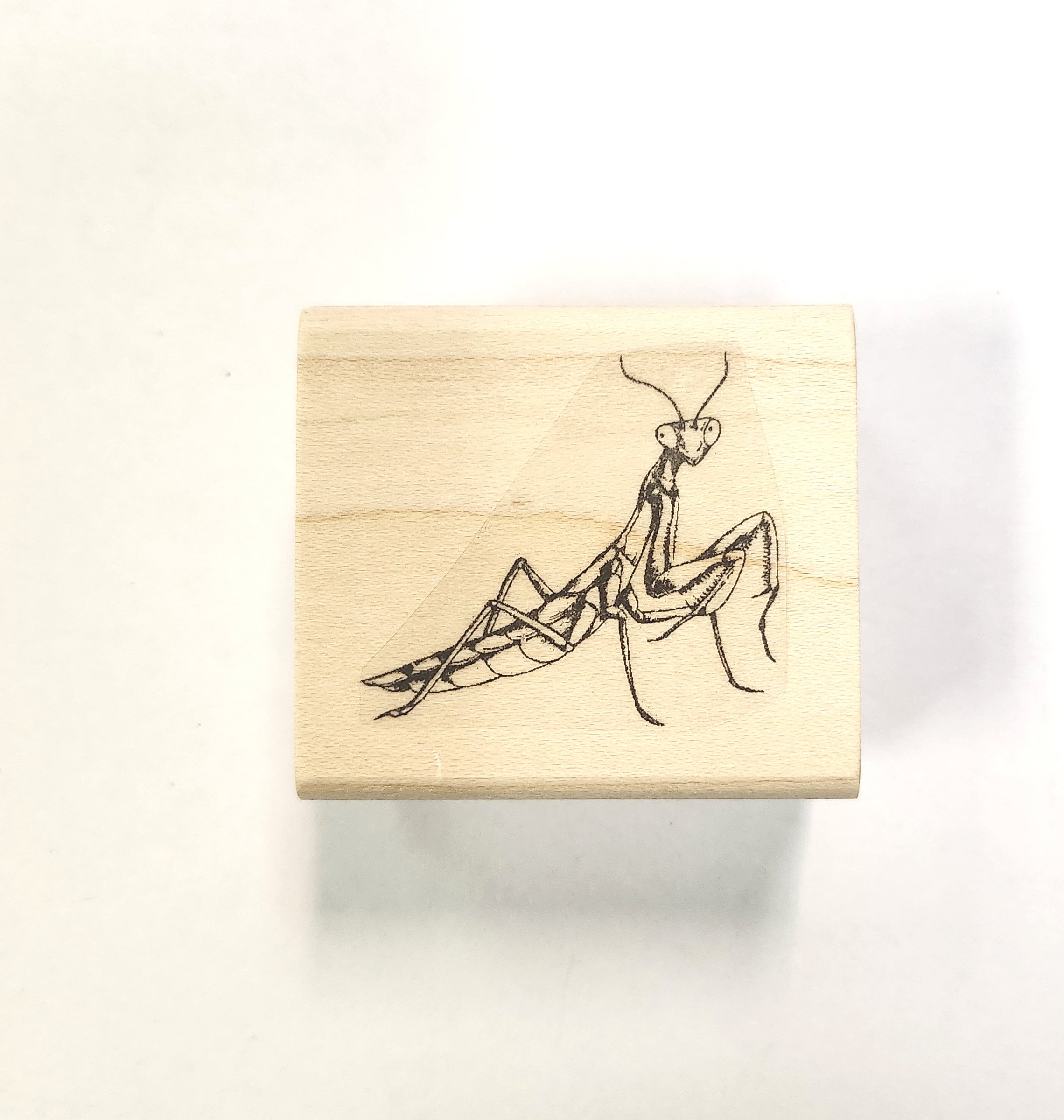 P129 Praying Mantis Rubber Stamp - Etsy