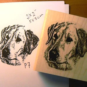 Labrador retriever dog rubber stamp WM P7