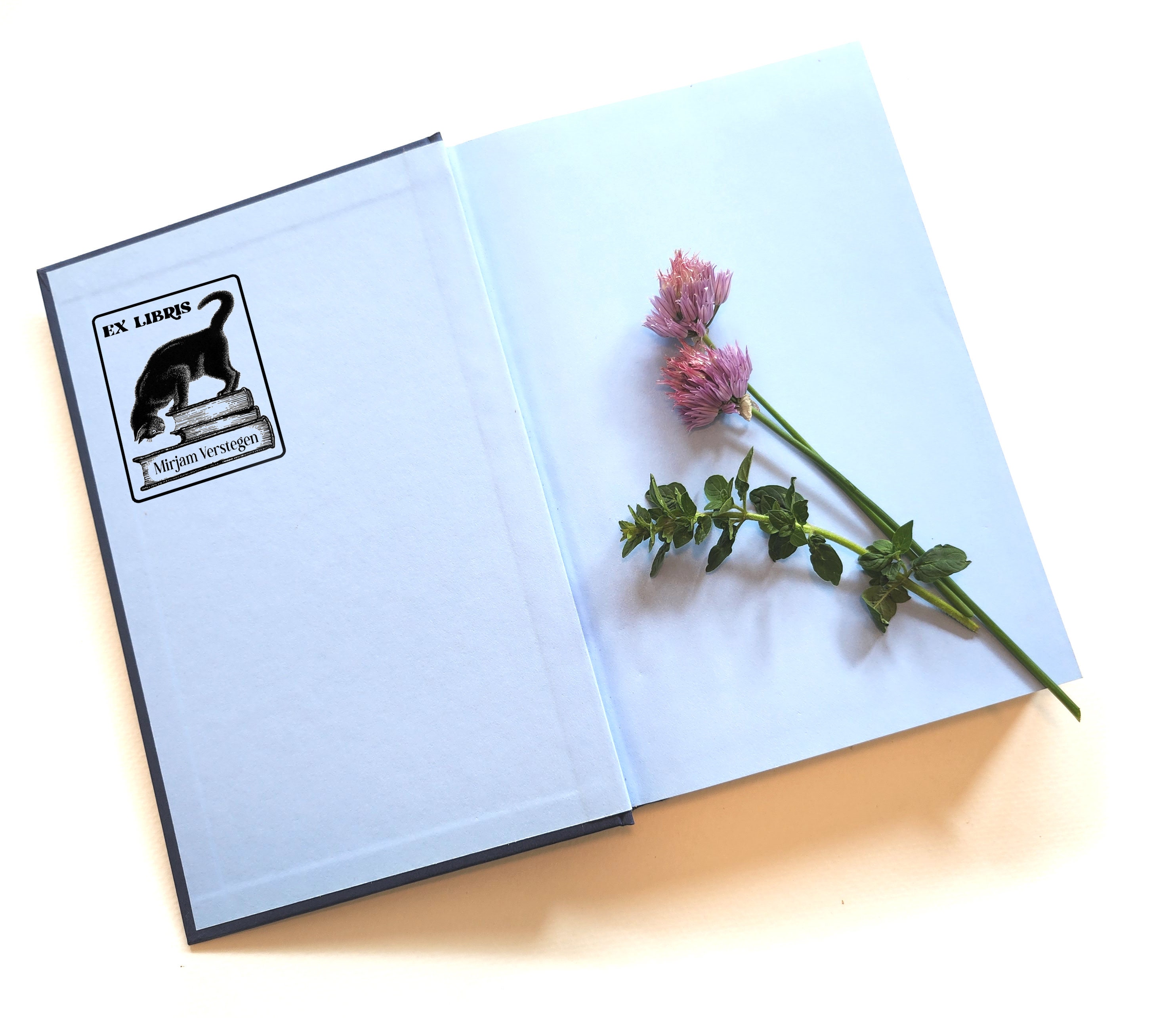 Personalized Ex Libris Stamp Custom photosensitive cat ink stamp