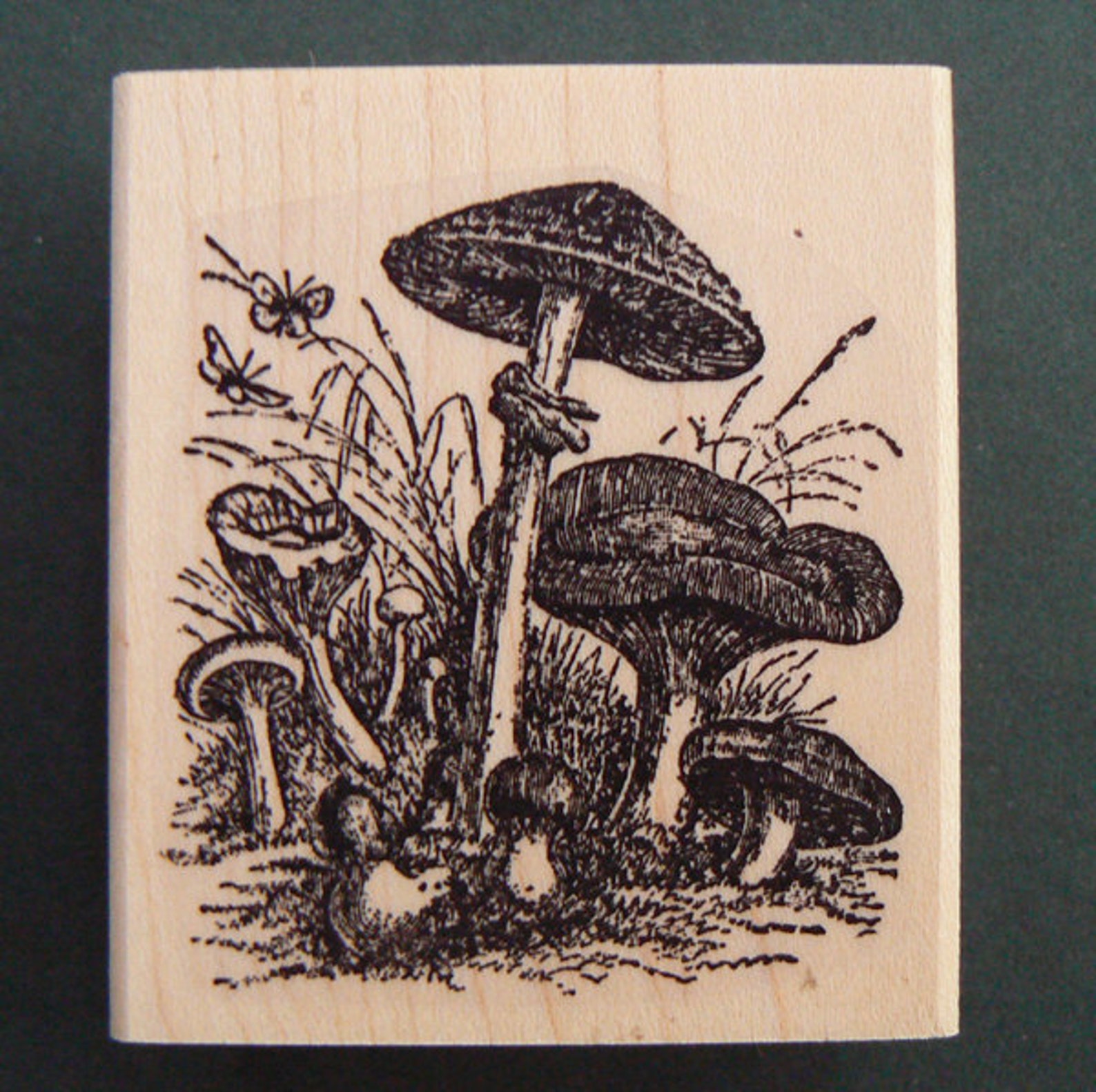 Mushrooms Rubber Stamp P29 - Etsy