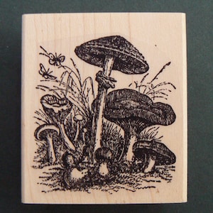 Mushrooms rubber stamp P29