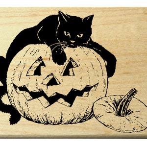 Black cat on pumpkin rubber stamp WM P17