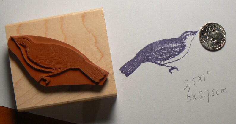 P15 Wren bird rubber stamp image 2