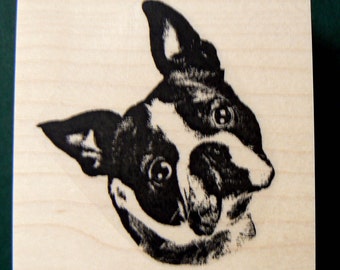 Q1    Boston terrier rubber stamp portrait WM