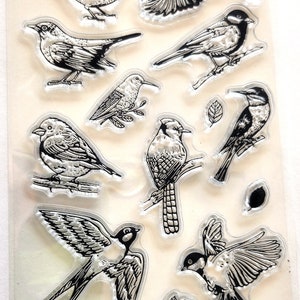 Pássaros - carimbo de borracha transparente 6x4"