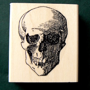 Skull rubber stamp WM  P20