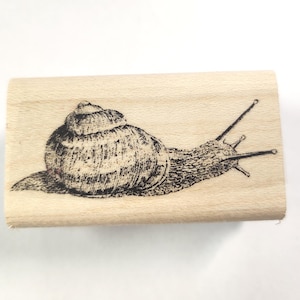 Sello de goma de caracol P29
