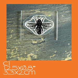 C1 Bee crystal clear rubber stamp UN mounted
