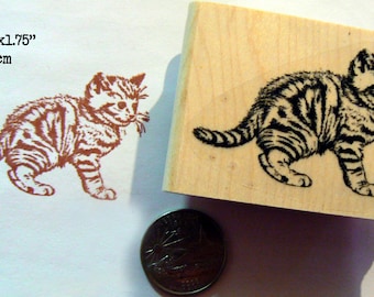 Kitten rubber stamp P53
