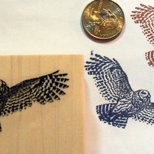 Flying owl rubber stamp P53