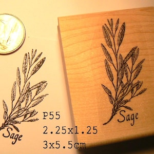Sello de goma de salvia WM P55