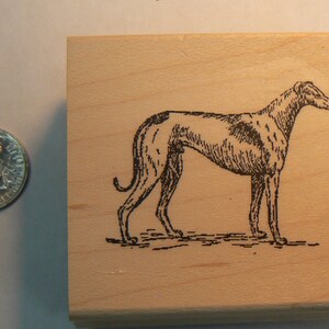 Timbro di gomma per cani Greyhound WM P37