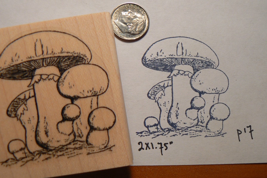 Mushrooms rubber stamp P17 Etsy