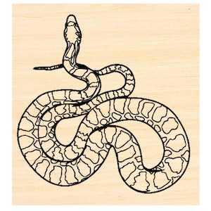 Carimbo de borracha de cobra P137