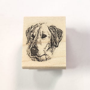 P24 Labrador dog rubber stamp WM miniature 1x1