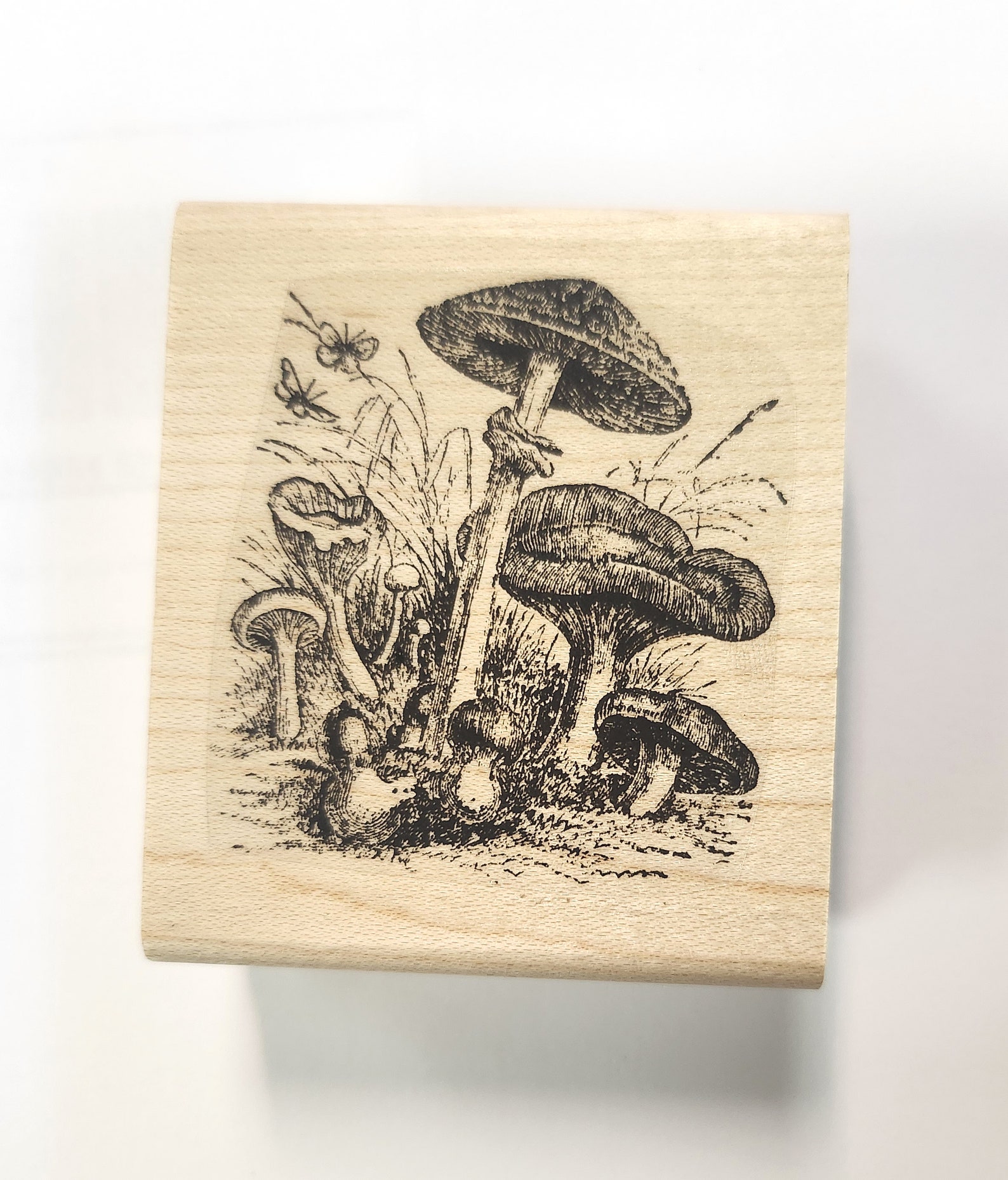 Mushrooms Rubber Stamp P29 - Etsy