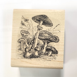 May include: A wood-mounted rubber stamp featuring a black and white illustration of mushrooms in a forest setting.