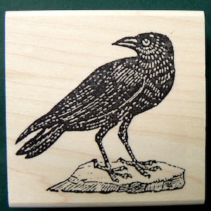 P9 Crow- Black Bird rubber stamp WM 2.3x2.2 inches