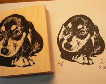 P6 Dachshund puppy-dog rubber stamp WM