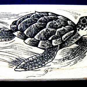 P41 Tampon en caoutchouc tortue de mer WM 2,2 x 1,25 po.