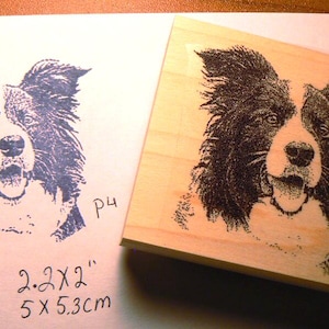 Border collie dog rubber stamp  P4