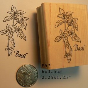 Carimbo de borracha P57 Basil