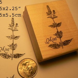 Mint Herb rubber stamp WM P55 image 1