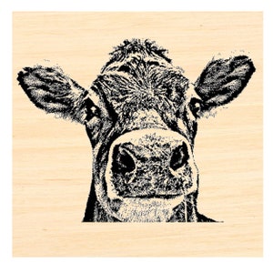 Pode incluir: Uma ilustração em preto e branco do rosto de uma vaca. A vaca está olhando diretamente para o espectador com uma expressão amigável.
