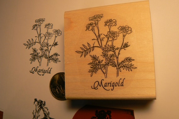 Rosemary herb rubber stamp WM p55d