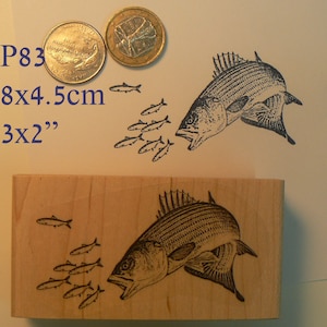 P83 Carimbo de borracha para peixes grandes caçando peixes pequenos