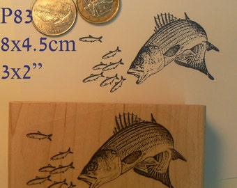 P83 Big fish hunting little fish rubber stamp