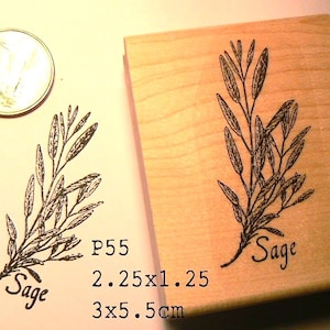 Sage herb rubber stamp WM P55