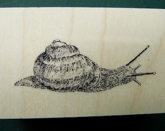 Snail rubber stamp  P29