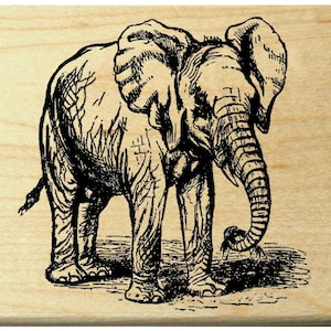 sello de goma de elefante WM P23