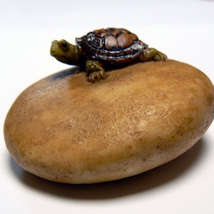 Garden fairy decoration- Georgetown turtle on a rock