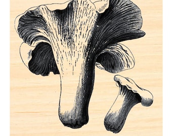 Mushroom chanterelle  rubber stamp P129