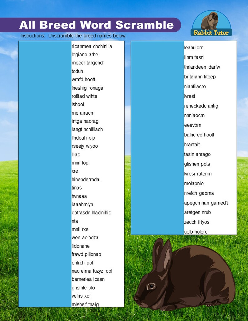 Rabbit Breeds - Etsy