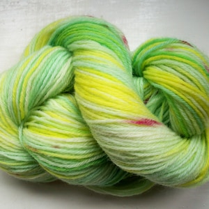 May include: A skein of yarn in shades of green, yellow, and white. The yarn is hand-dyed and has a variegated color pattern.