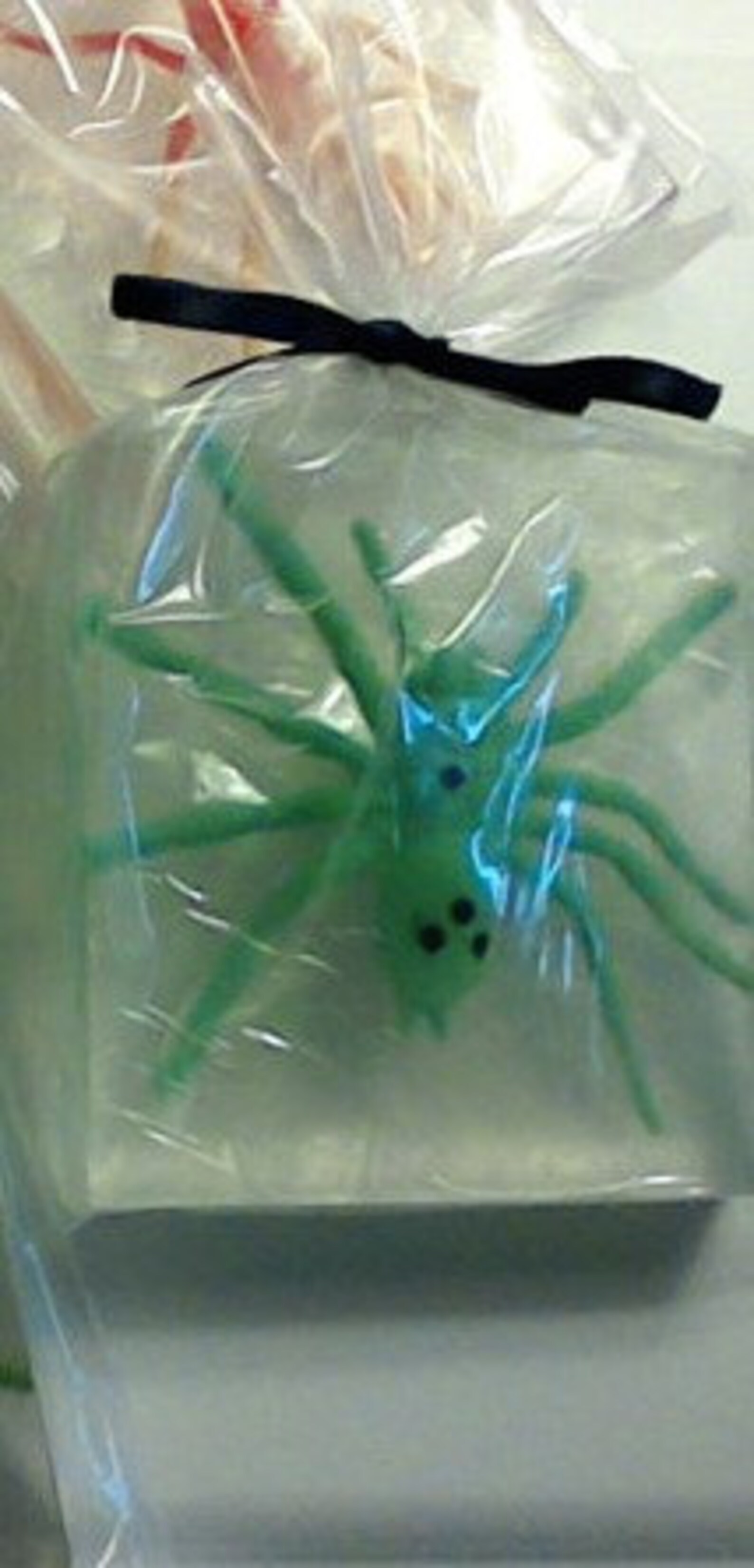 Spider soaps Big Spiders in a Big soap Nature Center Party Etsy