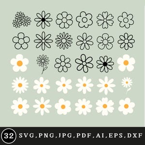 Daisy flowers svg bundle, Daisy png, Spring daisy flowers shirt svg, Flowers png, Daisy outline svg