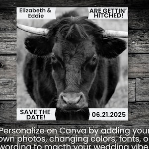 Cow Tag Wedding Save the Date | Rustic Save the Date | Save the Date Magnets | Instant Editable Digital Download | Black Angus Cow Wedding