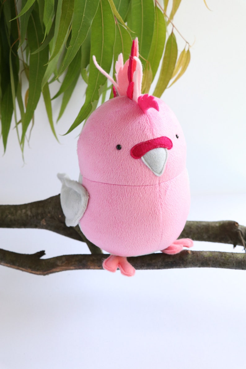 Budgie Bird Sewing Pattern Plush Pattern Budgerigarsoft Toy - Etsy