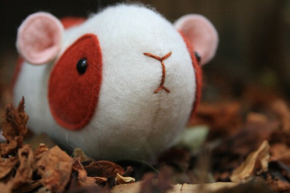 guinea pig plush pattern
