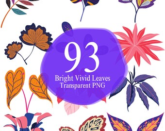Foliage 93 Bright Vivid Leaves Botanical Shapes Digital Transparent PNG Clipart Colorful Floral Bloom Nature Monstera Leaf Tree Leaves